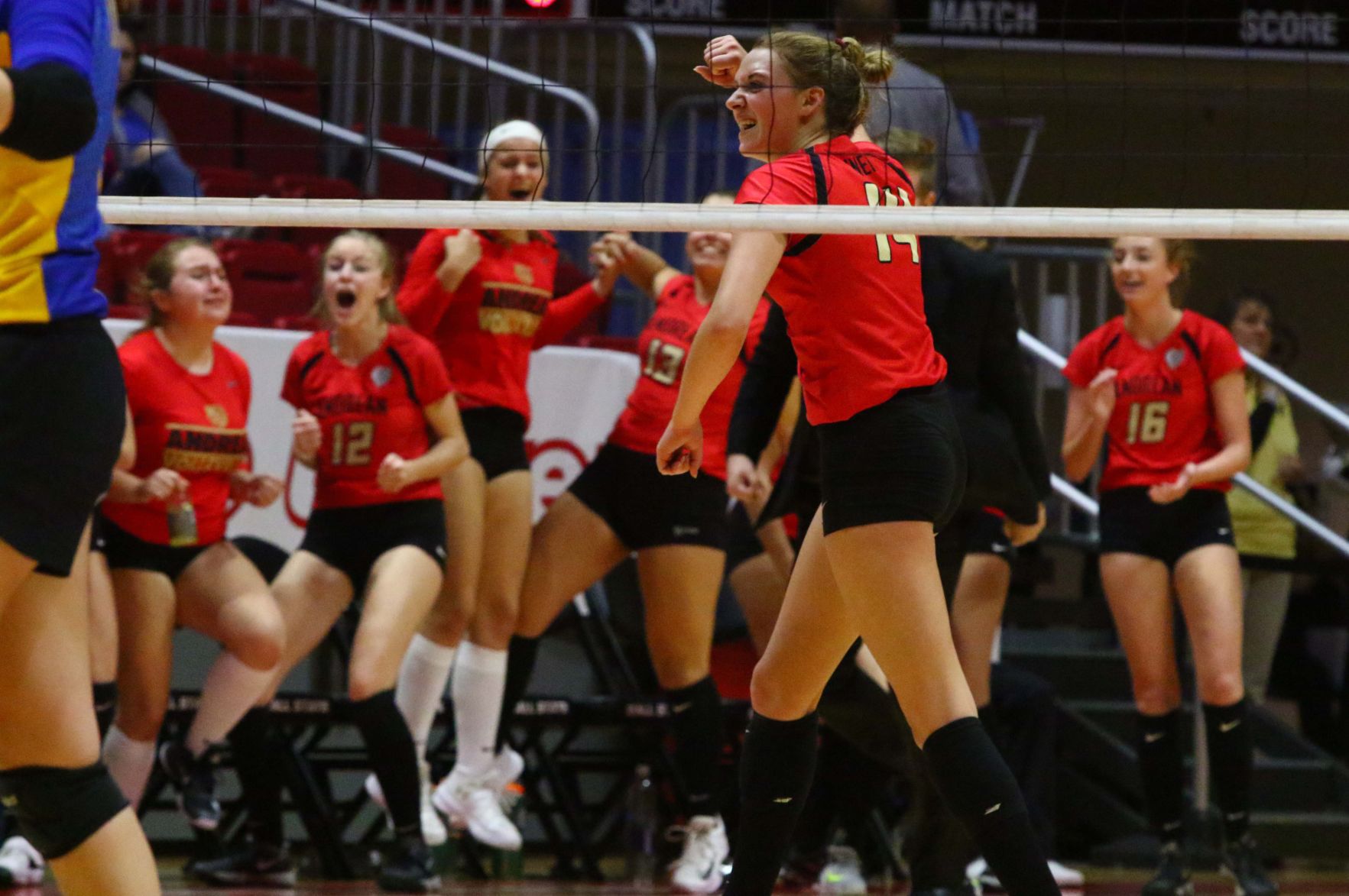 Gallery: Volleyball Class 2A State Finals - Andrean vs. Christian Academy of Indiana